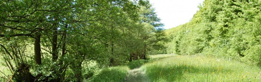 Schwäbischer Albverein | Ortsgruppe Hedelfingen